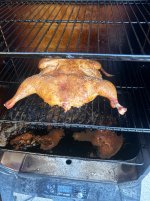 IMG_9335.jpeg