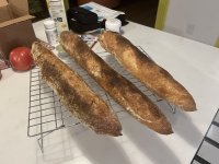 IMG_2620.jpeg