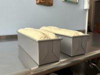 First loaves before baking.JPEG