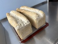 First Loaves.JPEG