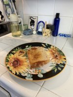 sunflower plate grilled jack cheese.JPEG