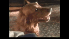 1000005559.gif
