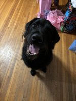 IMG_0324.jpeg