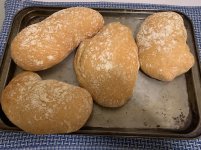 IMG_3959.jpeg
