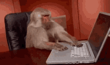 IMG_1450.gif