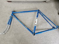 20241114_110957.jpg