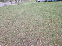 20241123_145328.jpg