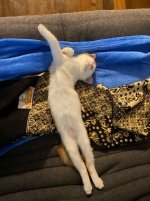 IMG_1559.jpeg