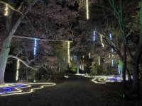 IMG_3031.jpeg