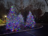 IMG_3042.jpeg