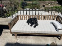 IMG_2571.jpeg
