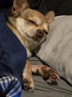 1733365145366.png