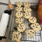 IMG_3680.jpeg