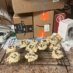 IMG_3679.jpeg