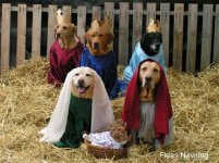Fleas Navidog.jpg