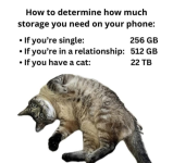 1734972092211.png