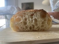 IMG_2963.jpeg