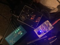 IMG_2108.jpeg
