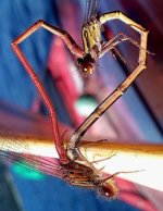 IMG_1899.jpeg IMG_1899.jpeg