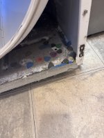 IMG_6464.jpeg