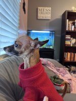 IMG_6462.jpeg