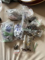 IMG_4037.jpeg