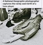 birth of a bass player.JPG