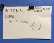 IMG_2441.jpeg