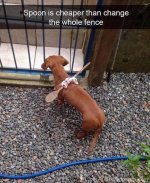 IMG_2400.jpeg