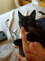 20170623_183612.jpg