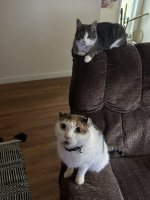 IMG_8059.jpeg