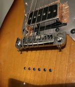 IMG_6336.jpeg