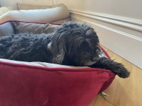 IMG_3299.jpeg