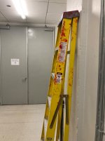IMG_1536.jpeg