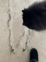 IMG_0346.jpeg