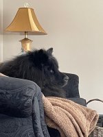 IMG_0328.jpeg