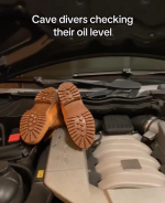 1742961435393.png
