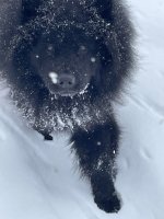 IMG_0399.jpeg