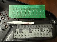 IMG_1887.jpeg
