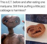 1745645256892.jpeg