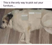 1746974080764.png