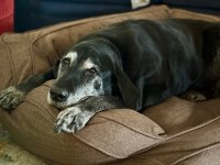 IMG_0229.jpeg