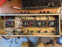 IMG_2534.jpeg