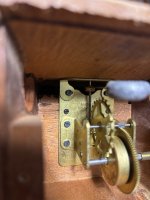 IMG_2083.jpeg