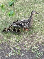 IMG_0645.jpeg