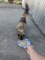 1000034154.jpg