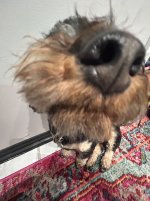 IMG_9970.jpeg