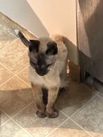 IMG_0635.jpeg