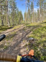IMG_6873.jpeg