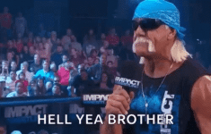 hulkster.gif